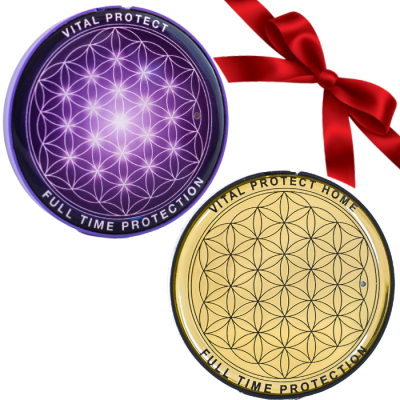 PROMO PACK PROTECT: Vital Protect Home & Vital Protect